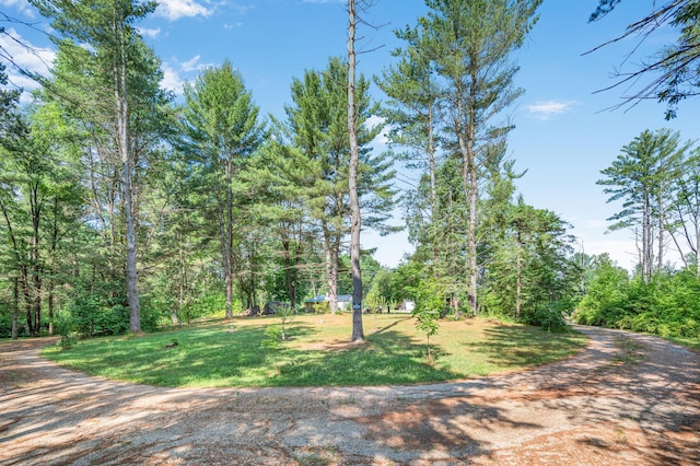 8558 Monterey Dr, Evart, MI 49631 - photo 7