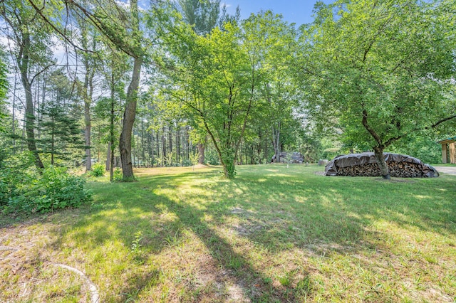 8558 Monterey Dr, Evart, MI 49631 - photo 8