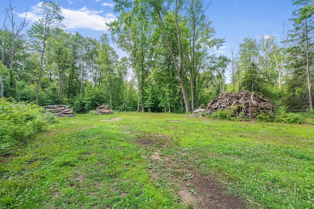 8558 Monterey Dr, Evart, MI 49631 - photo 23