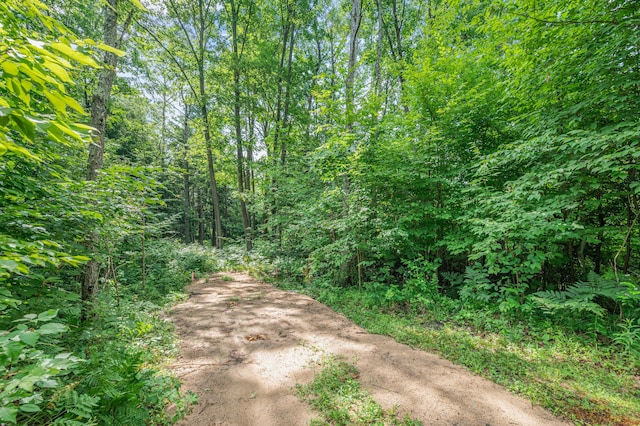 8558 Monterey Dr, Evart, MI 49631 - photo 24