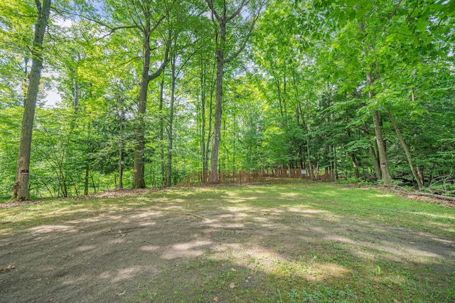 8558 Monterey Dr, Evart, MI 49631 - photo 27