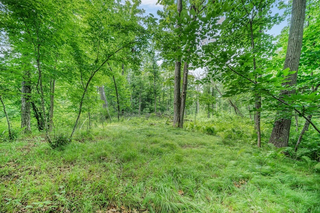 8558 Monterey Dr, Evart, MI 49631 - photo 28