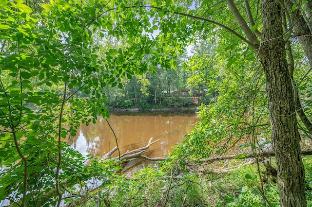 8558 Monterey Dr, Evart, MI 49631 - photo 10