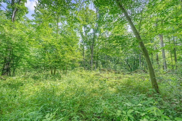 8558 Monterey Dr, Evart, MI 49631 - photo 32