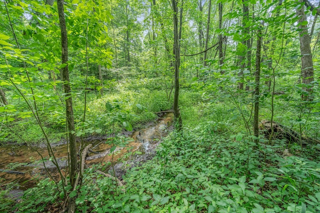 8558 Monterey Dr, Evart, MI 49631 - photo 33