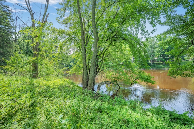 8558 Monterey Dr, Evart, MI 49631 - photo 36