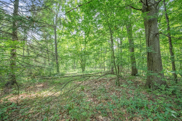 8558 Monterey Dr, Evart, MI 49631 - photo 39