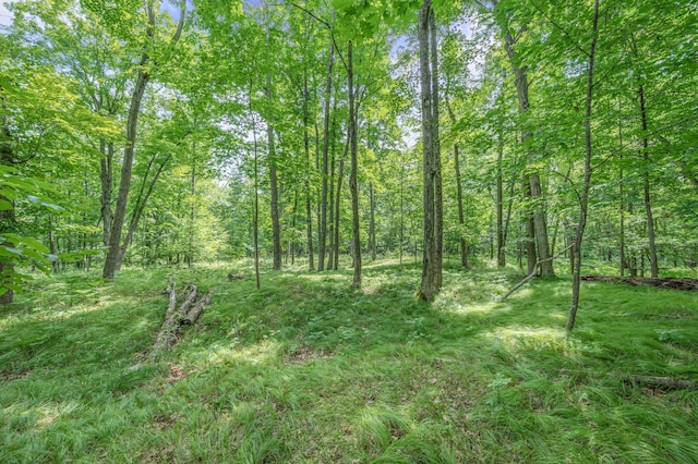 8558 Monterey Dr, Evart, MI 49631 - photo 40