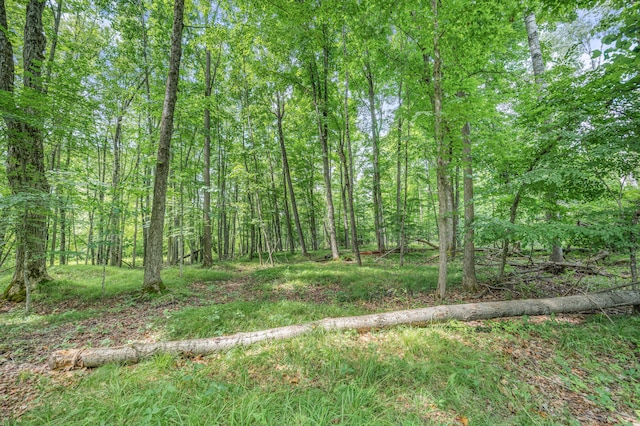 8558 Monterey Dr, Evart, MI 49631 - photo 43