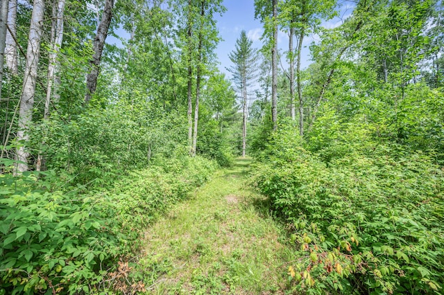 8558 Monterey Dr, Evart, MI 49631 - photo 44