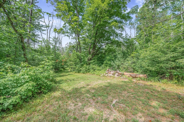 8558 Monterey Dr, Evart, MI 49631 - photo 45