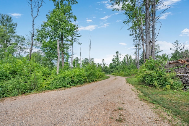8558 Monterey Dr, Evart, MI 49631 - photo 46