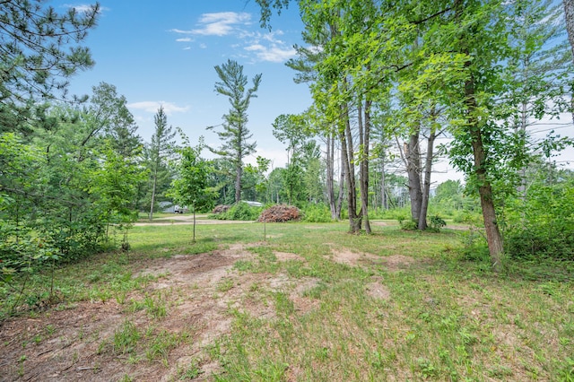 8558 Monterey Dr, Evart, MI 49631 - photo 47