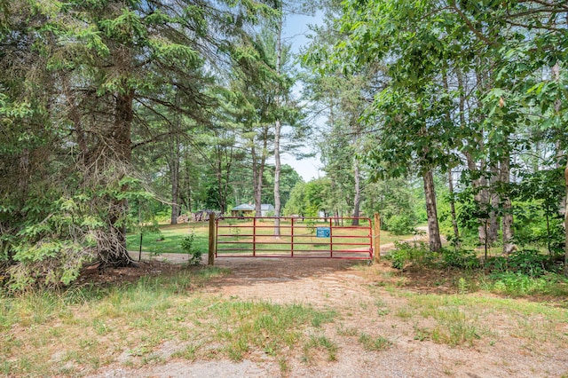 8558 Monterey Dr, Evart, MI 49631 - photo 48