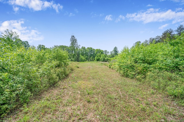 8558 Monterey Dr, Evart, MI 49631 - photo 51