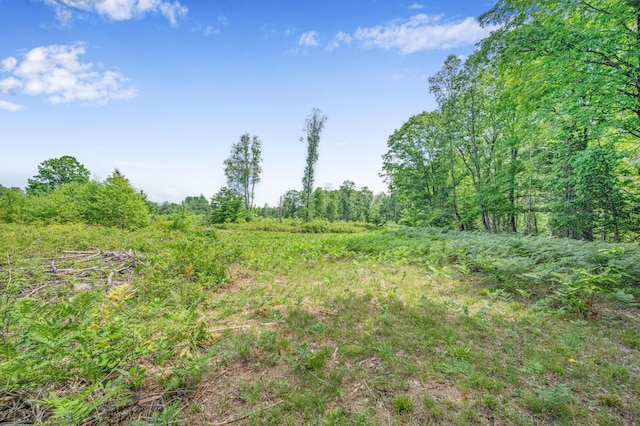 8558 Monterey Dr, Evart, MI 49631 - photo 53