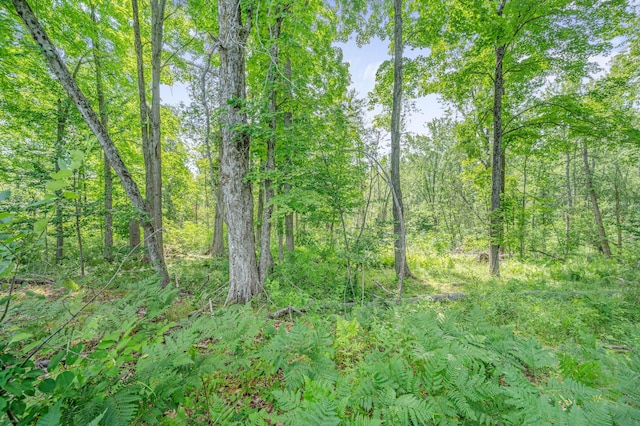 8558 Monterey Dr, Evart, MI 49631 - photo 54