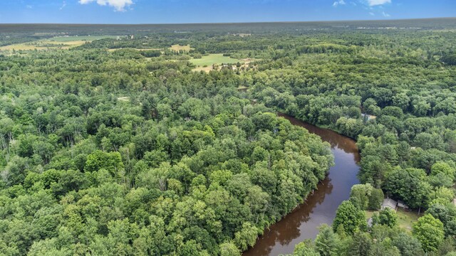 8558 Monterey Dr, Evart, MI 49631 - photo 61