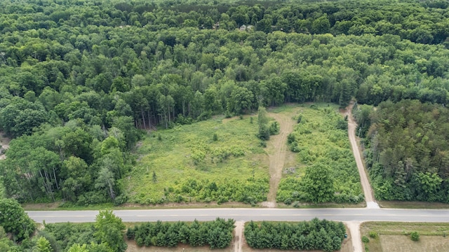 8558 Monterey Dr, Evart, MI 49631 - photo 68
