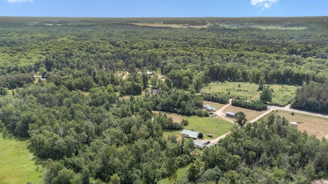 8558 Monterey Dr, Evart, MI 49631 - photo 56