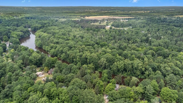 8558 Monterey Dr, Evart, MI 49631 - photo 60