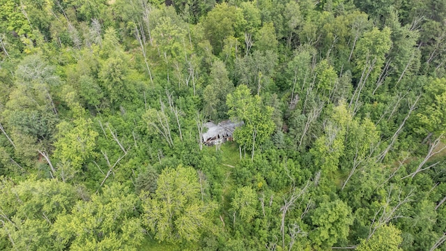 8558 Monterey Dr, Evart, MI 49631 - photo 63