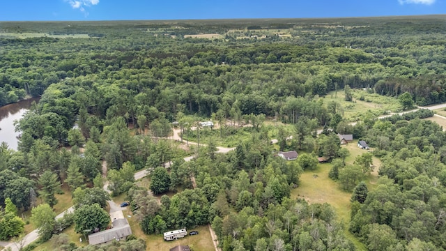 8558 Monterey Dr, Evart, MI 49631 - photo 66
