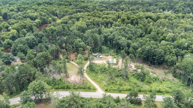 8558 Monterey Dr, Evart, MI 49631 - photo 67