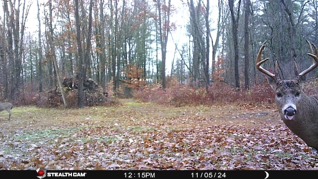 8558 Monterey Dr, Evart, MI 49631 - photo 75