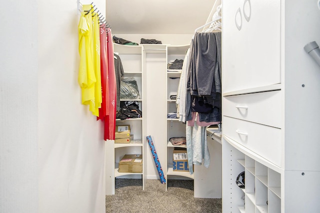 7269 Wellington Ln, Ypsilanti, MI 48197 - walk in closet featuring carpet flooring