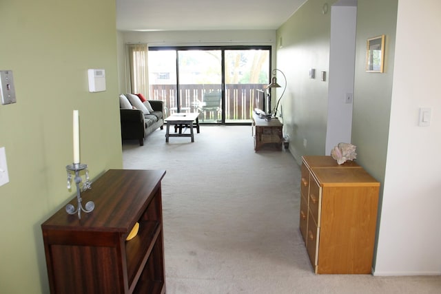 1265 S Maple Rd Unit 207, Ann Arbor, MI 48103 - corridor featuring light colored carpet