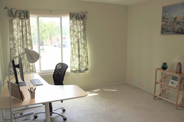 1265 S Maple Rd Unit 207, Ann Arbor, MI 48103 - office area featuring carpet and healthy amount of natural light