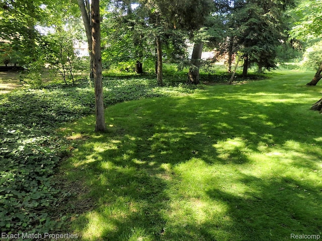 3742 Hearthstone Dr, Commerce Twp, MI 48382 - view of grassy yard