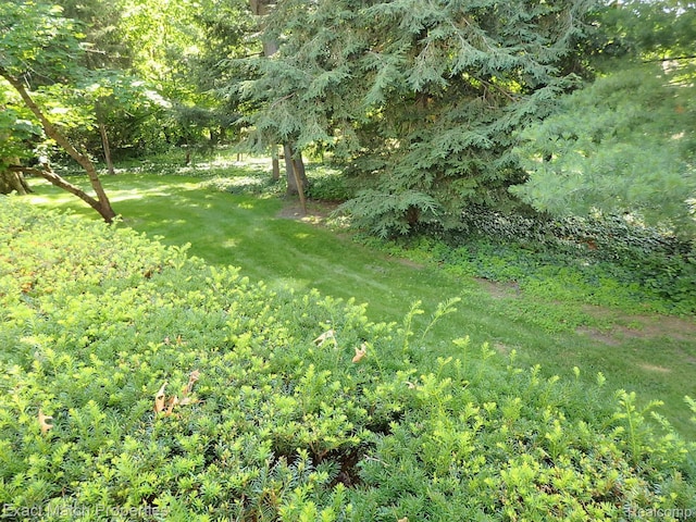 3742 Hearthstone Dr, Commerce Twp, MI 48382 - view of grassy yard