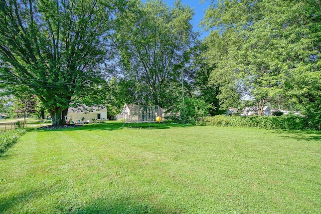 47016 Ayres Ave, Belleville, MI 48111 - photo 28