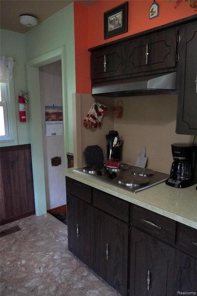 1295 Hadley Rd, Lapeer, MI 48446 - kitchen featuring electric stovetop, extractor fan, and light countertops