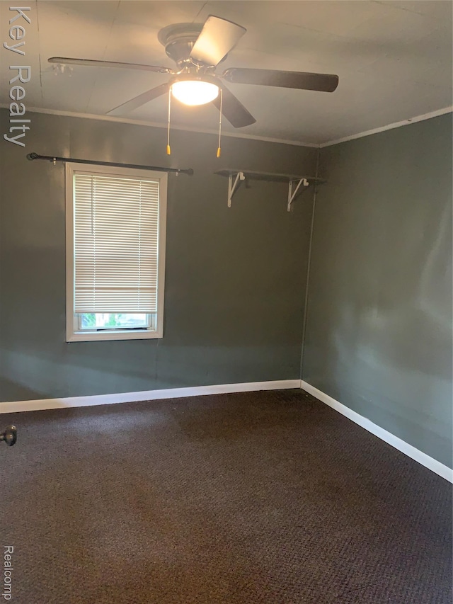 737 Detroit Ave, Monroe, MI 48162 - photo 18
