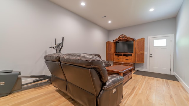 2816 Niles Buchanan Rd, Buchanan, MI 49107 - home theater featuring light wood-type flooring and recessed lighting