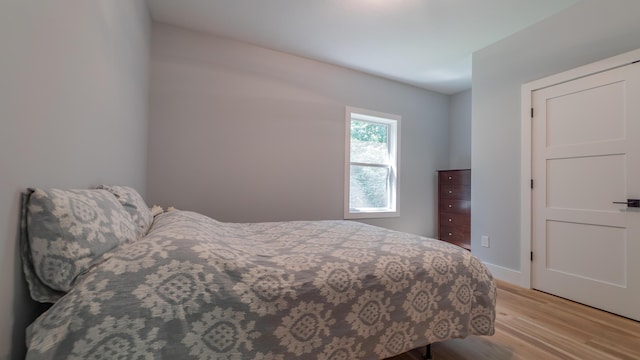 2816 Niles Buchanan Rd, Buchanan, MI 49107 - bedroom with light wood-type flooring and baseboards