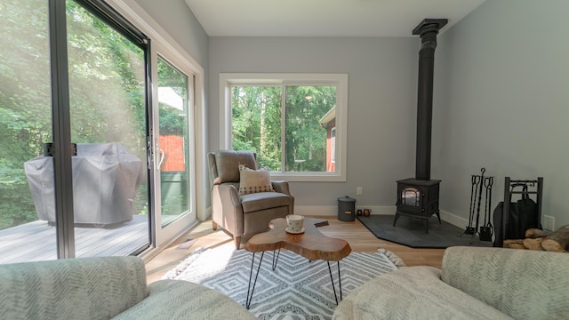 2816 Niles Buchanan Rd, Buchanan, MI 49107 - living area with a wood stove and wood finished floors
