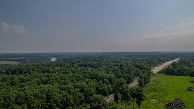 2816 Niles Buchanan Rd, Buchanan, MI 49107 - bird's eye view of a heavily wooded area