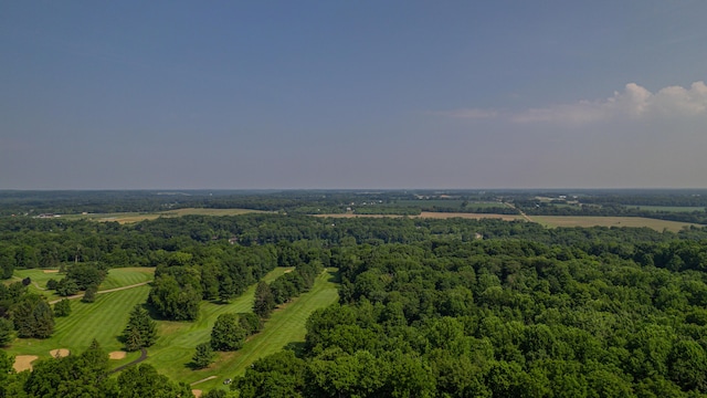 2816 Niles Buchanan Rd, Buchanan, MI 49107 - drone / aerial view of a forest