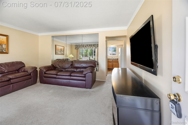 14715 Leblanc, Allen Park, MI 48101 - photo 5