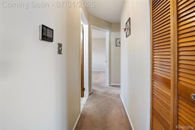 14715 Leblanc, Allen Park, MI 48101 - photo 14