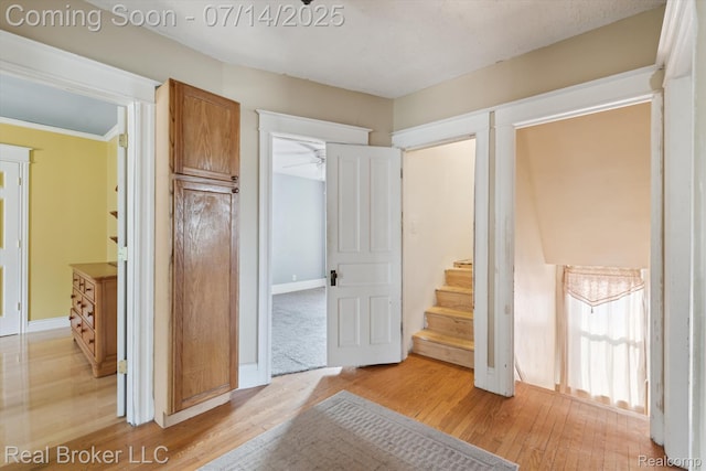 305 E 6th St, Monroe, MI 48161 - unfurnished bedroom featuring light wood-type flooring and baseboards