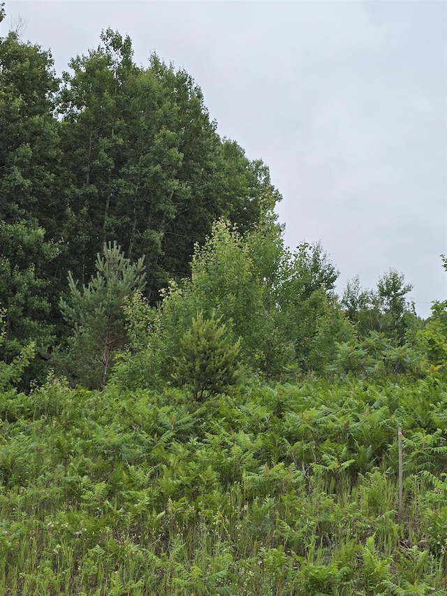 V/L00 N 9th Rd, Mesick, MI 49668 - photo 1