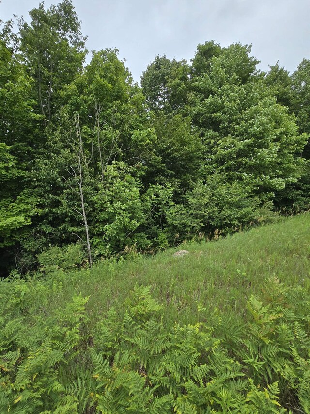 V/L00 N 9th Rd, Mesick, MI 49668 - photo 10