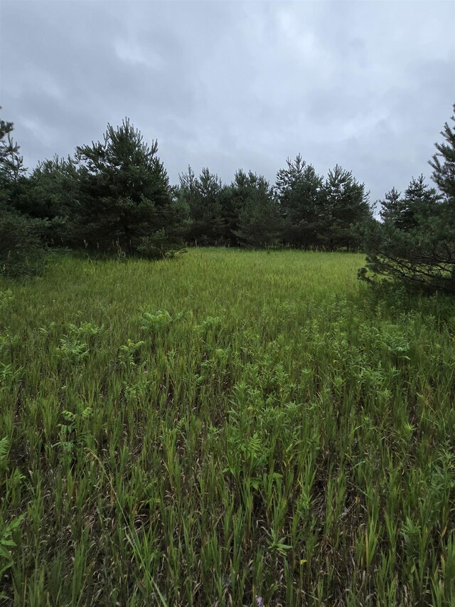 V/L00 N 9th Rd, Mesick, MI 49668 - photo 11