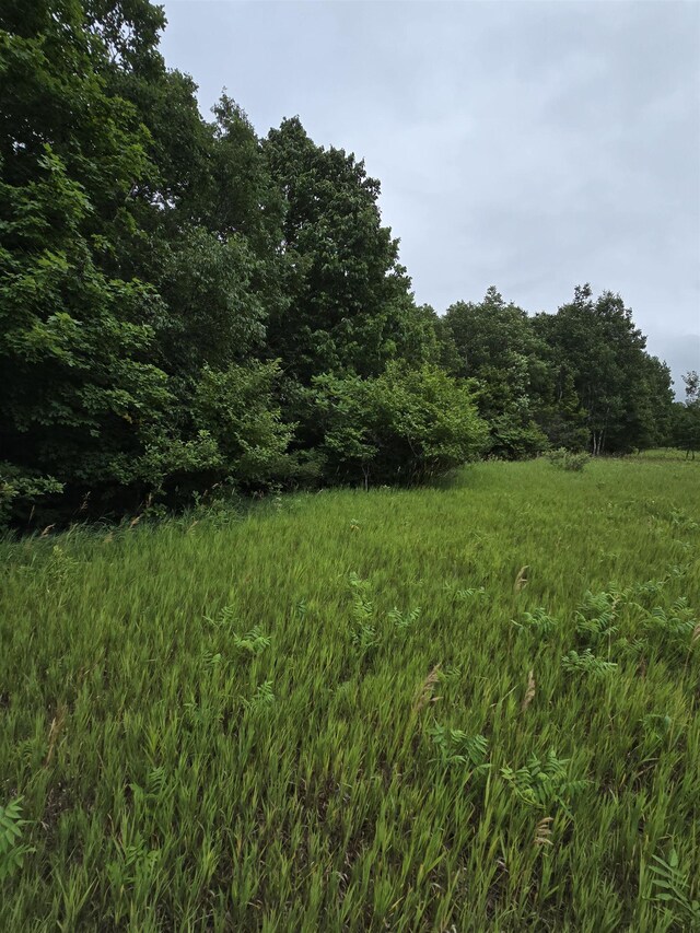 V/L00 N 9th Rd, Mesick, MI 49668 - photo 12
