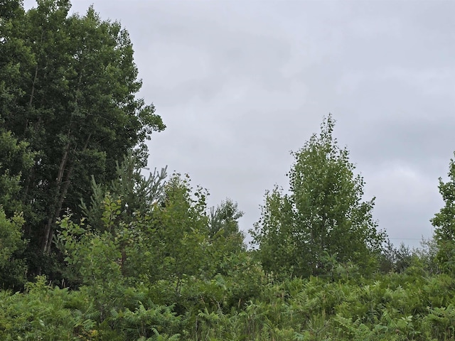 V/L00 N 9th Rd, Mesick, MI 49668 - photo 2